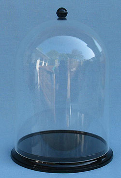 10" x 7" Plastic Acrylic Dome - Near Mint - AL024