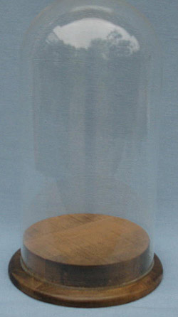 Annalee 11" x 6" Glass Dome with Wooden Base - Mint - domesmbase