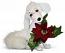 Annalee 4" Poinsettia Pup Ornament 2023 - Mint - 711223