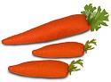 Annalee Set of Carrots Bauble 2023 - Mint - 263023	