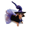 Annalee 5" Dachshund Dog Witch 2018 - Mint - 310518