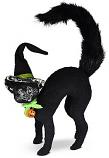 Annalee 8" Ghostly Scaredy Cat 2021 - Mint - 311421