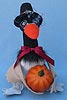 Annalee 8" Thanksgiving Canada Goose - Mint - 351612